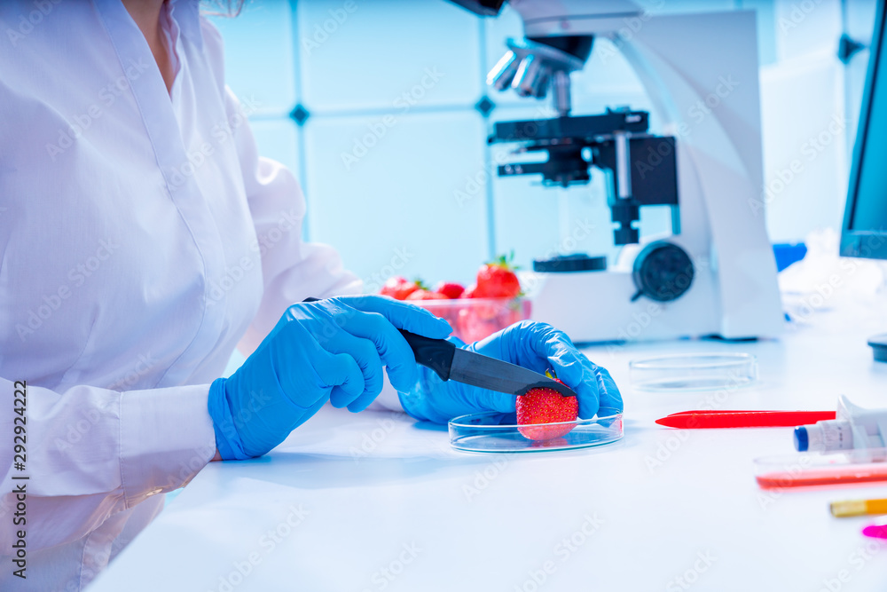 Sticker Young woman at food quality control in laboratory