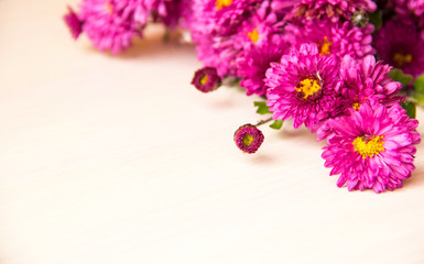 Flower background. Lilac chrysanthemum flowers on white wooden background, copy space. Flowers composition. 8 March, mother day, Valentines day background. Autumn flower. Flower card. Holiday postcard