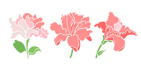 Set of three lily flowers. Isolated flowers for design of cards, invitations, textures. Vector illustration.