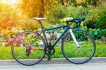 Race road bicycle in summer park