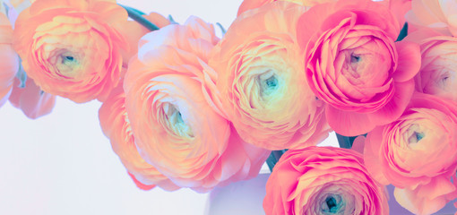 Fototapeta na wymiar Yellow and pink anemone flower bouquet.