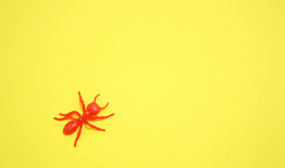 RED ANT OVER YELLOW 