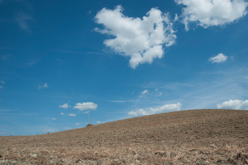 siena, tuscany, italy 