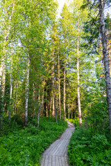 Eco-trail to Zyuratkul ridge on the territory of Zyuratkul national Park. Zyuratkul lake is a high-mountain lake in the southern Ural. Zyuratkul national Park, Chelyabinsk region, Russia.