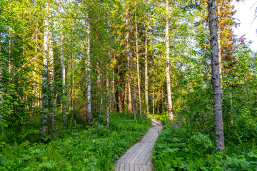Eco-trail to Zyuratkul ridge on the territory of Zyuratkul national Park. Zyuratkul lake is a high-mountain lake in the southern Ural. Zyuratkul national Park, Chelyabinsk region, Russia.
