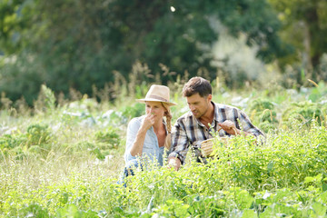 Couple of farmers in agricultural field