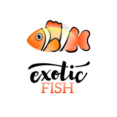 Exotic Clown fish color icon