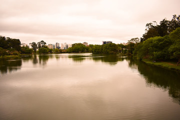 Fototapeta na wymiar Lago com árvores e plantas