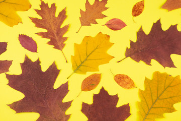 Naklejka na ściany i meble Close-up of dry autumn leaves on a yellow background. Autumn ornament.