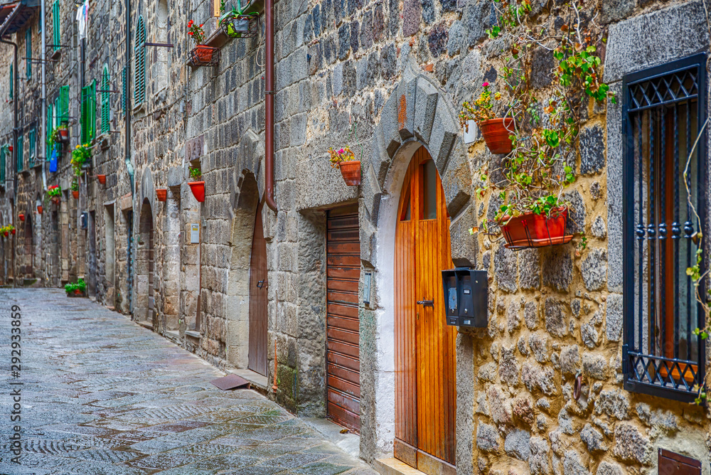 Poster Old alley with doors to the houses