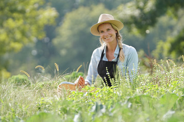 Farmer woman working in agricultural organic field