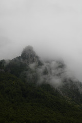 Clouds rising from mountain forest