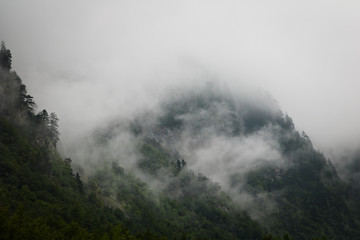 Clouds rising from mountain forest