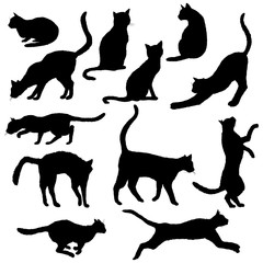 Vector Cats Silhouettes. Black Feline Outline Logos