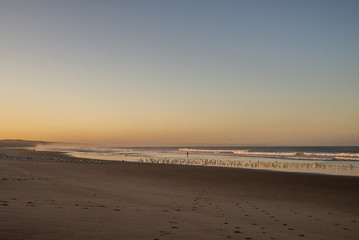 People on a desert beach at sunrise for themorning walk