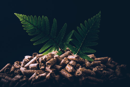 Natural Pellet Fuel - Green Renewable Sustainable Economy