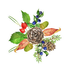 Obraz premium Autumn leaves, pine cone and branch, acorns and red berry bouquet isolated on white background. Hand drawn watercolor illustration. A