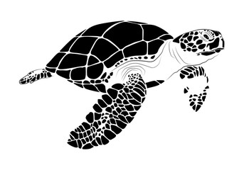 graphic sea turtle,vector illustration of sea turtle