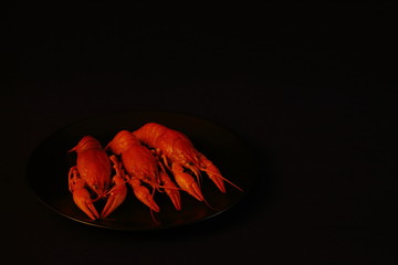 Fresh delicious boiled crayfish on black ceramic plate on dark background. Concept - gourmet, food, delicacies, restaurant, menu. Minimal style.