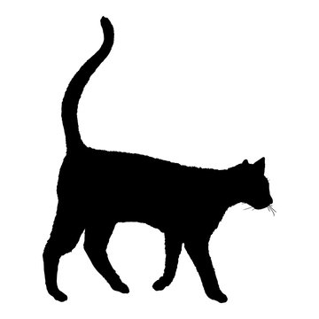 Walking Cat SIlhouette. Vector Black Feline Logo.