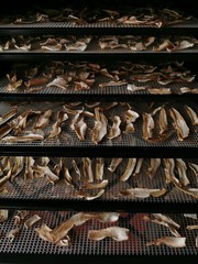 Champignons blancs séchés 