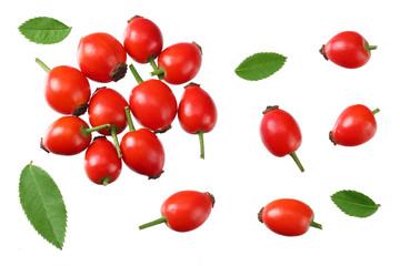 red rowan berries with green leaf isolated on white background. top view