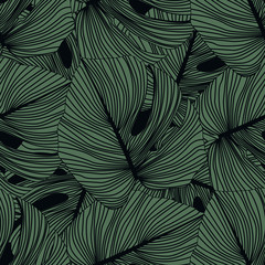 Monstera lässt nahtloses Muster auf schwarzem Hintergrund. Tropisches Muster, botanische Blattkulisse.