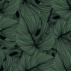 Fototapete Tropische Blätter Monstera lässt nahtloses Muster auf schwarzem Hintergrund. Tropisches Muster, botanische Blattkulisse.