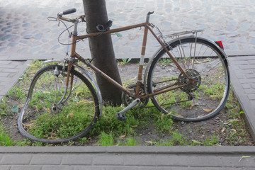 Fototapeta na wymiar broken bike with curved wheels fastened to a tree