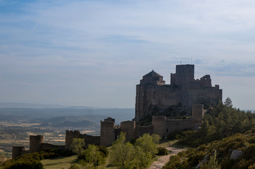 Fototapeta na wymiar castle on a mountain