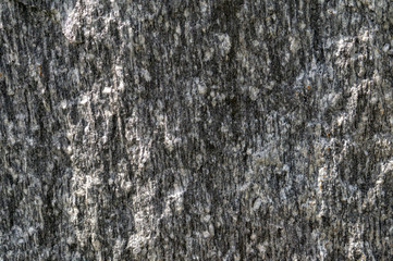 Stone texture. Gneiss large solid