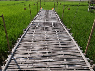 old wooden bridge in the forest, Asian countryside