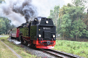 Fototapeta na wymiar Harzer Schmalspurbahn 