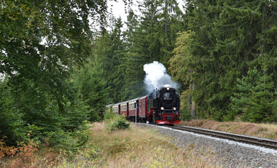 Harzer Schmalspurbahn 