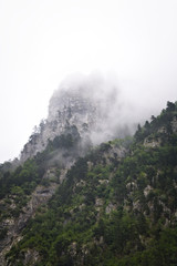 Fototapeta premium Clouds rising from mountain forest
