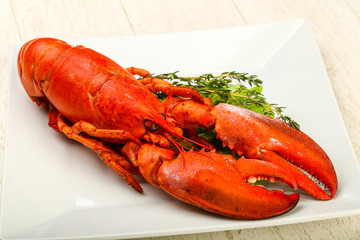 Lobster