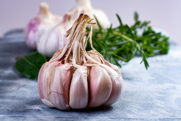Whole violet garlic bulbs and fresh kitchen herbs close up on grey marble plank
