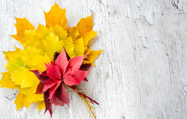 Autumn composition. Bouquet of bright colorful autumn leaves on a gray wooden background. Autumn cocept. Copy space