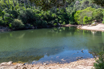 Flora in the Blue Lagoon Zone in Sintra, Portugal