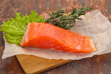 Piece of raw salmon