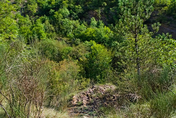 Vista dal sentiero 208 dal villaggio di Baciardi all'eremo di Morimondo