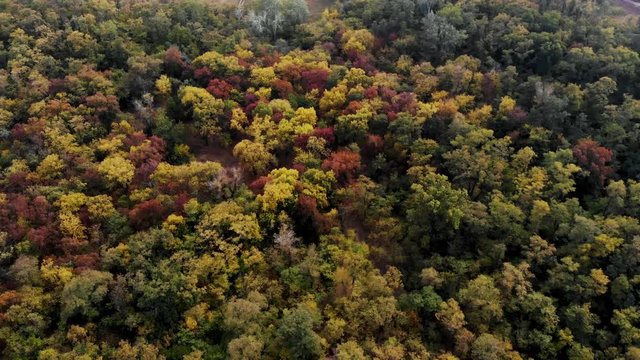 A wonderful view from the drone on a colorful autumn forest with yellow, red, orange and purple foliage.