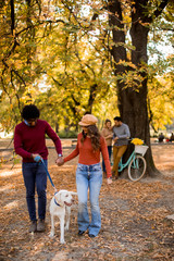 Multiracial couple walking with dog in autumn park