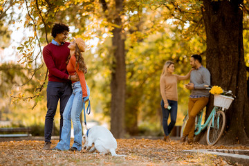 Fototapeta premium Multiracial couple walking with dog in autumn park