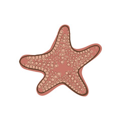 Pink star fish.