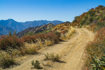 Distant Mountains and Dirt Road