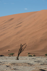Namibia