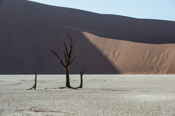 Namibia