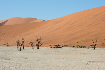 Namibia