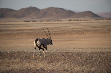 Namibia